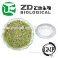 GMP Certified Ursolic acid powder